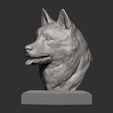Husky6.jpg Husky bust 3D print model