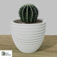 16.jpg Combo of 6 flower pots models for 3d printing, #A3