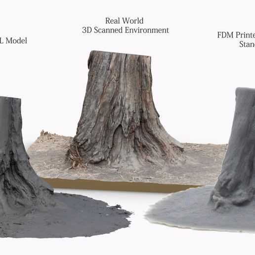 Free STL file 3D Scanned Tree Stump for Tabletop Scatter Terrain・3D