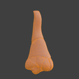 16.png 3D Nose Anatomy Model