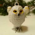 IMG_20231120_171439.jpg Christmas bauble Owl