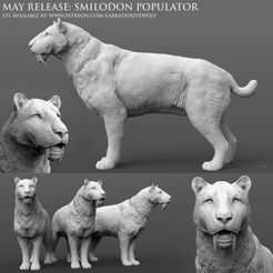 Smilodon-populator-alert-Patreon-Release.jpg STL file Smilodon populator, Saber-Toothed Tiger (alert)・3D print design to download