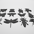 b11.png 12 pieces of beetles, insects, spiders, dragonfly, fly, cockroach, butterfly, bug beetle,
