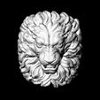 Capture.jpg Lion ring