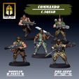 Cs-team-3.jpg Commando: Command Squad