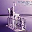 dfretrytre.jpg Snowflake from New York