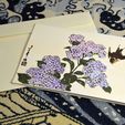 _DSC1438.jpg Printastique! Greeting Card Printing Set - Hokusai's Hydrangea and Sparrow