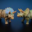 TrikePairPainted-Duo-copy.jpg Triceratops Articulated Fidget Figure, 3mf included, cute dinosaur flexi