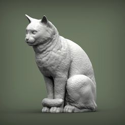 cat-for-3d-printing-3d-model-02b38662a9.jpg Файл 3D Cat for 3d printing・Идея 3D-печати для скачивания