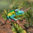 Trioceros-Jacksonii_Base_Szene_Schabe4.jpg Three-horned chameleon - (Trioceros jacksonii)-STL 3D print file incl. originals (Cinema, Zbrush) with full-size texture high polygon