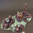 IMG_4579.jpg Alien coral (Type 3) collection