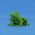 0025.png Frog stylized