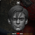 TOBYS.png SPIDERMAN / PETER PARKER / TOBEY MAGUIRE HEAD