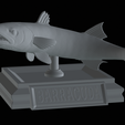 Barracuda-huba-trophy-14.png fish great barracuda statue detailed texture for 3d printing