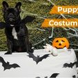 Miniatura_Thingiverse_01.jpg Halloween Puppy Costume