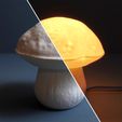 09.jpg Table lamp “Edulis Fungus” organic