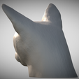 Zrzut-ekranu-2025-06-14-113346.png Abyssinian cat head for 3D printing