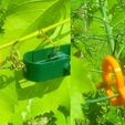 Clip2.JPG Tomato clip on wire or trellis for plants