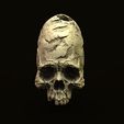 untitled.24.jpg Paracas elongated skull