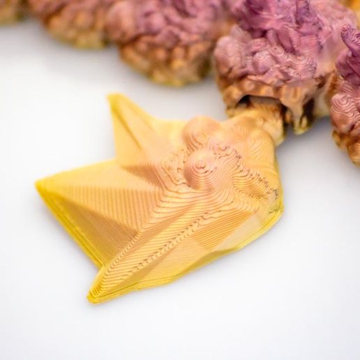 IMG_9439.jpeg Baby Lightning Dragon