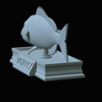 Dentex-mouth-statue-59.png fish Common dentex / dentex dentex open mouth statue detailed texture for 3d printing