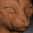 23.jpg Siamese Cat head for 3D printing