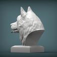 Husky3.jpg Husky bust 3D print model