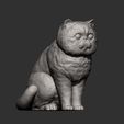 Exotic-Shorthair-Snoopy6.jpg Exotic Shorthair Snoopy cat 3D print model
