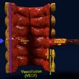 ps8.jpg 3D Angiogenesis NEW BLOOD VESSEL FORMATION