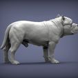 american-bulldog-standing6.jpg American Bully standing 3D printed model