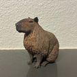 hand-painted-capybara-figurine.jpg Realistic Capybara