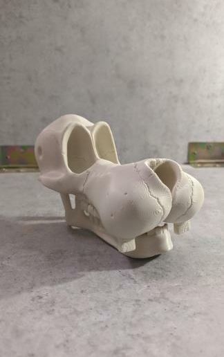 IMG_20200620_110546_744.jpg goffy skull