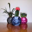 IMG_20201102_223340.jpg Succulent origami pot