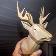 IMG_4990.JPG Cerf Lowpoly