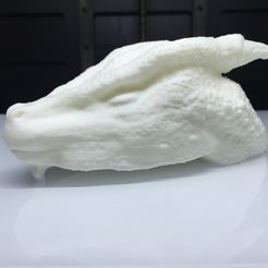 IMG_9142.JPG Free STL file Dragon Head | Cabeça de um dragão・Design to download and 3D print