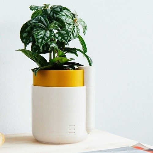 IMG_8718_1024x1024.jpg Self-Watering Planter (Small)