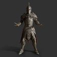 screenshot000.jpg Knight