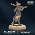 03.png Enchantres Courtesan A