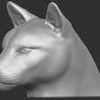 4.jpg Cougar / Mountain Lion head for 3D printing