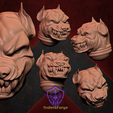 004-Pitbull-Heads-for-Marines-Head-3.png Voidwalker Space Bully Marine Heads