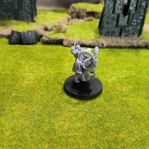 339492906_1935850646748476_4703278875408230255_n.jpg Royal King of Lovely Mountain(Foot and Mount