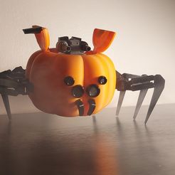 photo-1.jpg War spider pumpkin