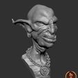 Nigel_mrjarrrrr_0006.jpg Nigel the goblin Brawler - Bust (52mm)