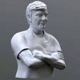 mario_STL-3.jpg Mario Pergolini printable bust