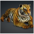portada-TIG.png TIGER - DOWNLOAD TIGER 3d model - animated for blender-fbx-unity-maya-unreal-c4d-3ds max - 3D printing TIGER FELINE - CAT - PREDATOR