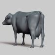 R04.jpg dairy cow pose 02