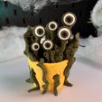 IMG_2153.jpg Planta de Monstro V1