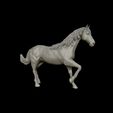 17.jpg American Quarter Horse model 3D print model