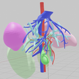 artery,-vein,-abdominal,-abdomen,-spleen,-liver,-lobe,-tumor,-hepatic,-portal-vein,-mesenteric,-3d-l.png CANCER DU FOIE 3D avec veine porte, artère et veine hépatiques, vésicule biliaire, canal biliaire, rate et rein