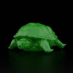 Turtle vray.jpg Download STL file Realistic Turtle • 3D print model, siSco